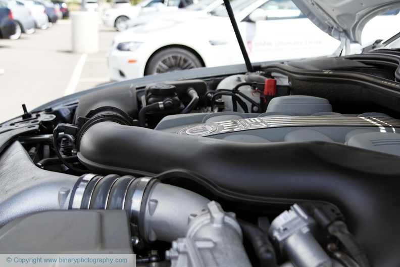 MG_5358.jpg